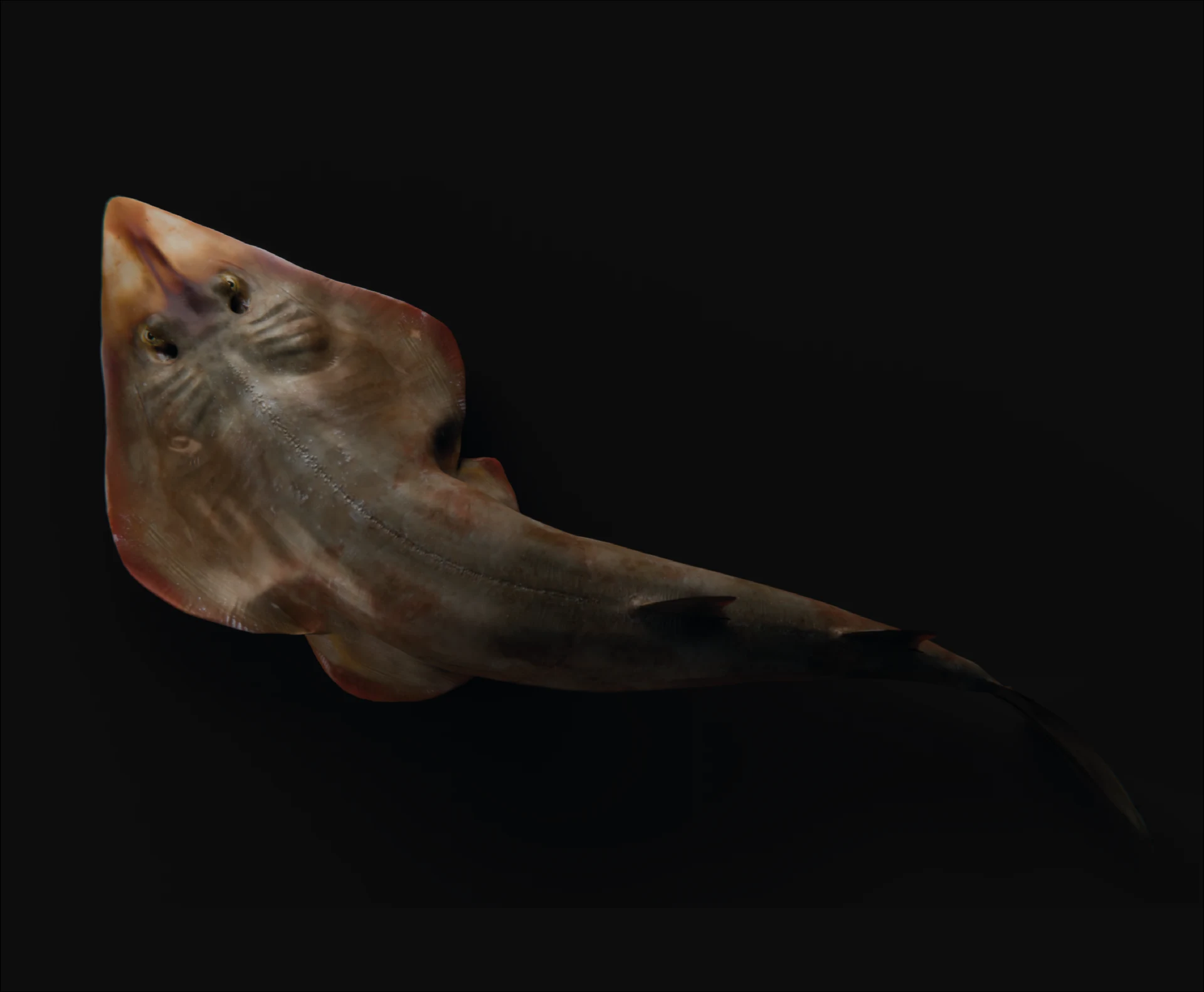 02 — 2