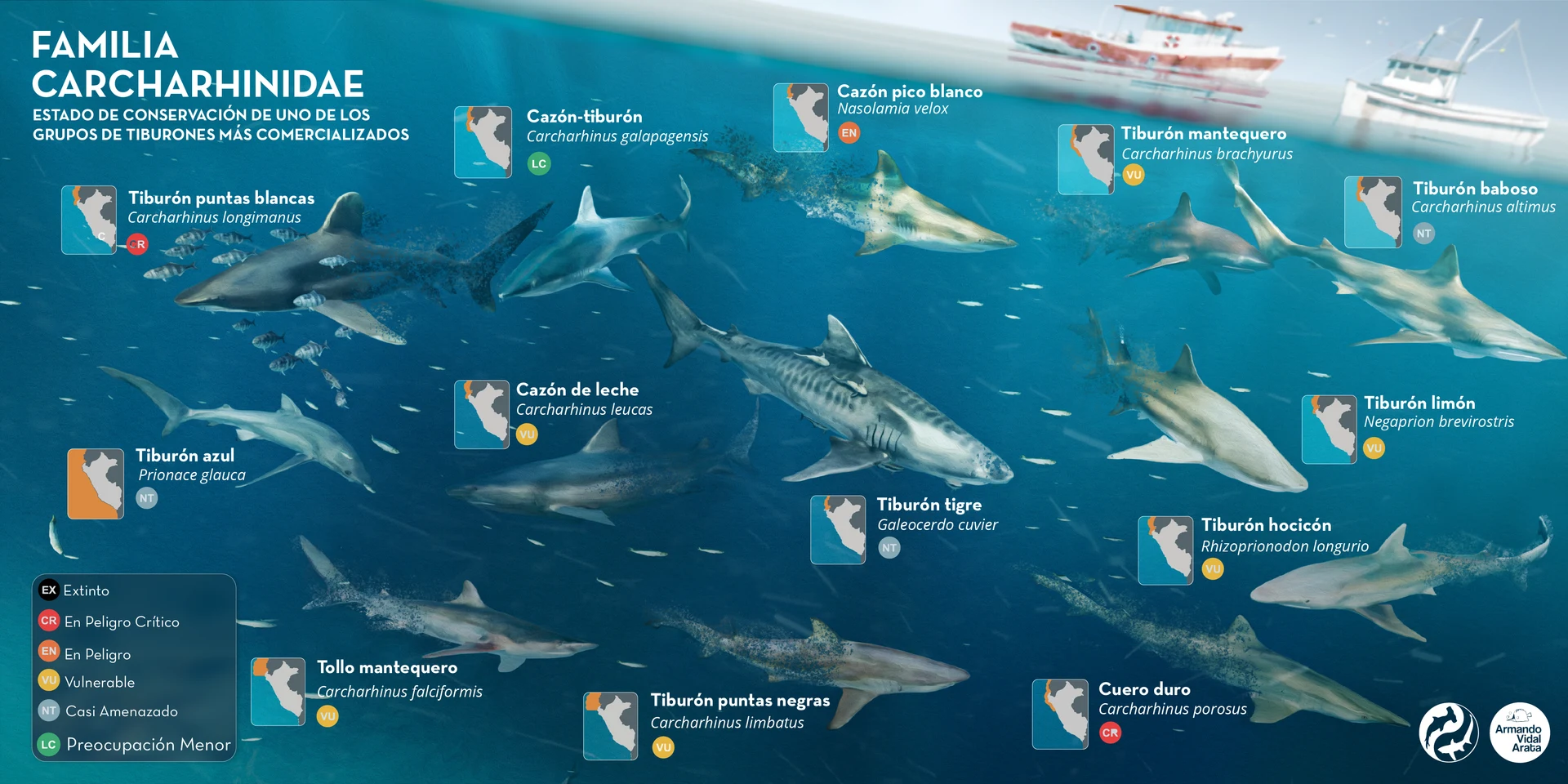 SUSTAINABLE OCEAN ALLIANCE